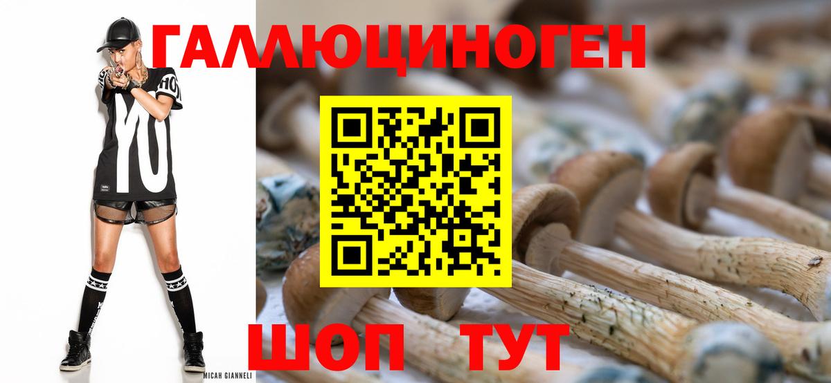 продажа наркотиков  Псилоцибиновые грибы прущие грибы  Вход с VPN  Нефтекамск 